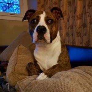 Meet your Posher, Misty